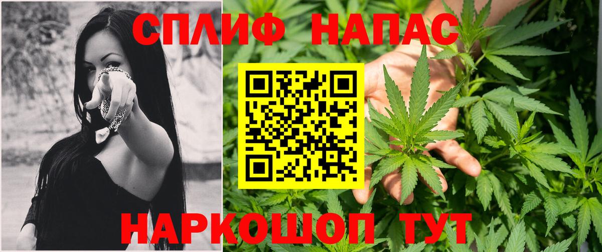 Протвино  Каннабис Ganja  Каннабис White Widow  Вход с VPN  Бошки марихуана конопля 